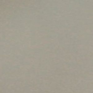 Meet your Posher, Camryn